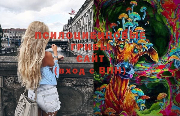 марихуана Саяногорск