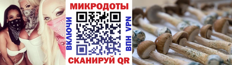 Псилоцибиновые грибы GOLDEN TEACHER  Купить закладки  Цоци-Юрт 