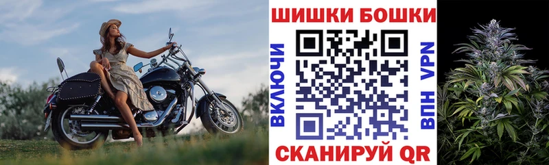 Купить где  Цоци-Юрт  МАРИХУАНА семена 